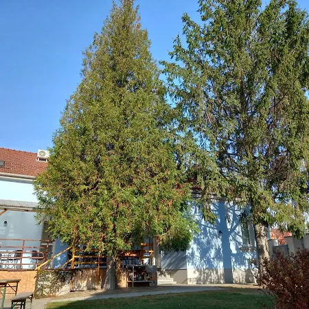 Alegria * Mikulov