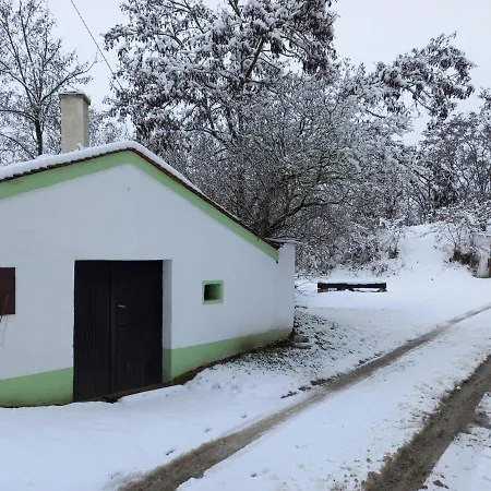 Alegria * Mikulov