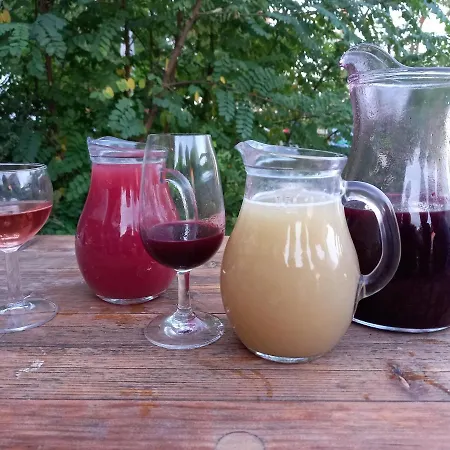 Alegria Rum i privatbostad Mikulov